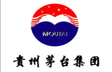 貴州茅臺集團燃?xì)鉄崴仩t價格案例